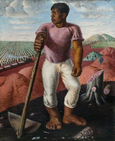 O lavrador de café (1934), is an oil on canvas with dimensions of 100 x 81 x 2.5 cm and can be seen no MASP (Museu de Arte de São Paulo)