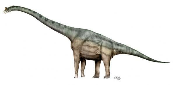 10 dinozaurów z okresu jurajskiego - Brachiosaurus