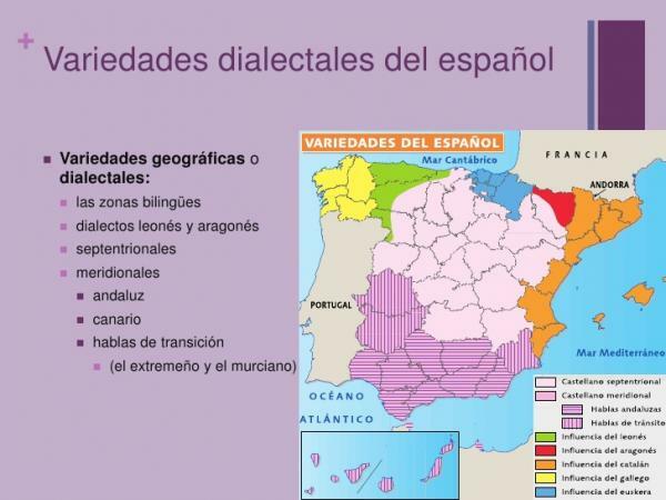 Διατοπική ποικιλία: ορισμός και χαρακτηριστικά - Νότια διάλεκτοι των ισπανικών 