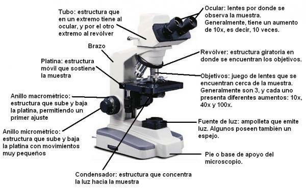 Části mikroskopu a jejich použití - Všechny části mikroskopu