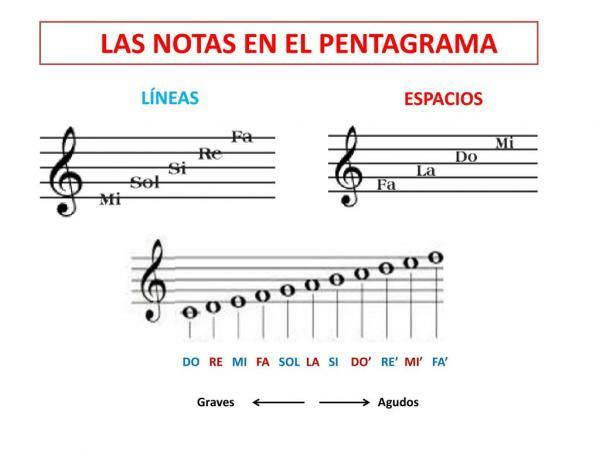 What are the musical notes on the staff - What are the musical notes: easy definition 