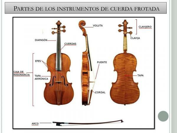 Trinti styginiai instrumentai - pagrindinės styginių instrumentų dalys