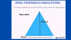 Extract the AREA of an EQUILATERAL triangle