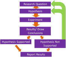 The 6 steps of the scientific method (and its characteristics)