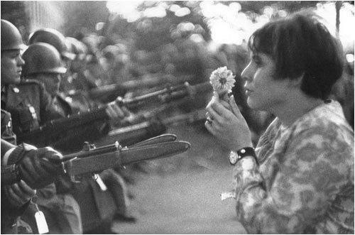 The Carnation Revolution- Summary - Curiosity about the name of the revolution
