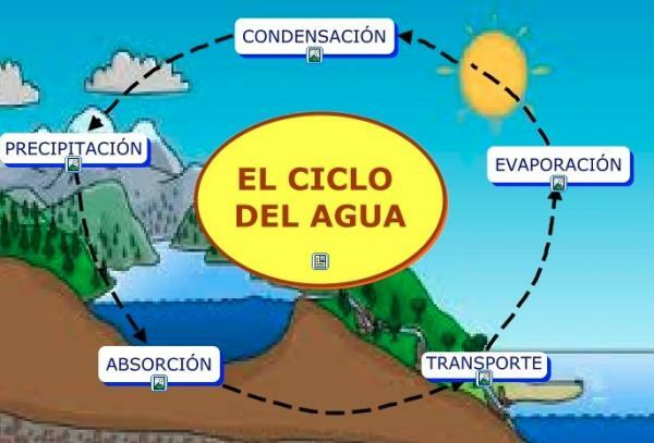 Water Cycle Information - For Kids