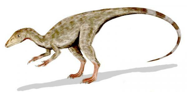 10 dinosaurs of the Jurassic period - Compsognathus, small Jurassic dinosaurs 