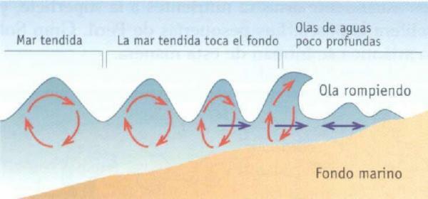 Por que existem ondas no mar - Quais são as ondas do mar