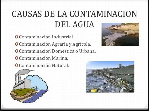 Water pollution: causes and consequences - Causes of water pollution