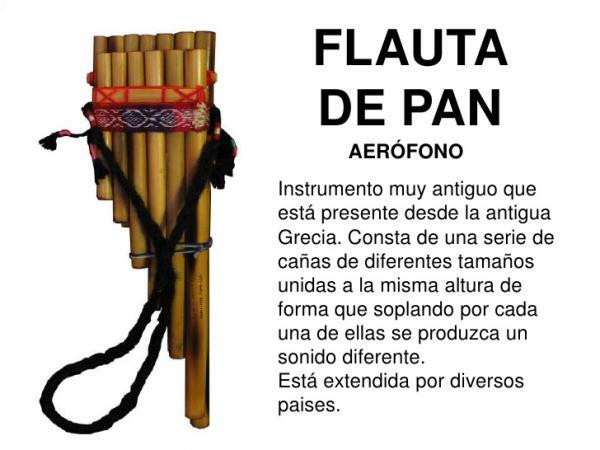 Pan flaut: origine și sunet - Care este originea flautului pan