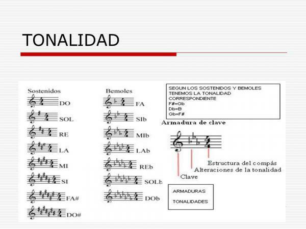 Armonia muzicală: definiție și exemple - Tonalitatea muzicală 