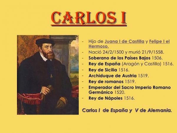 スペインのカルロス1世-短い伝記-カルロス1世の初期の人生