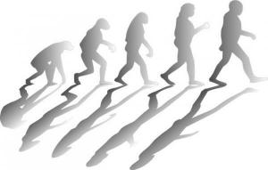 Evolution of the species