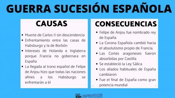 Causas e consequências da guerra de sucessão espanhola - Causas da guerra de sucessão espanhola