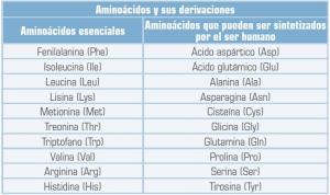 Aminoskābju tabula: funkcijas, veidi un īpašības