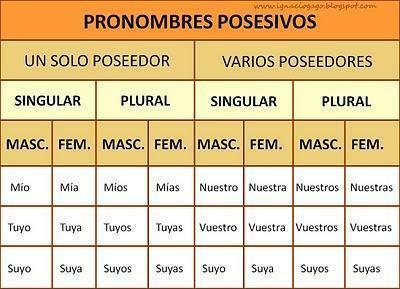 Possessivos em espanhol - Lista e exemplos - pronomes possessivos 