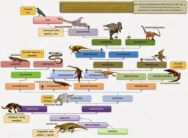 Рептилії: визначення, характеристики та приклади