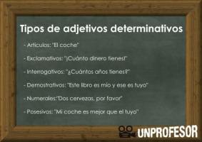 Types of determinative adjectives with examples