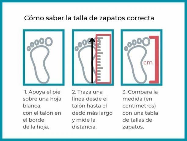 Step by step to measure the foot and know the shoe size