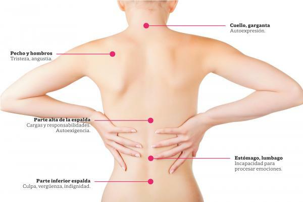 Lower back parts - All parts of the lower back or lumbar spine 