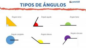 ANGLE types and their characteristics (for PRIMARY)