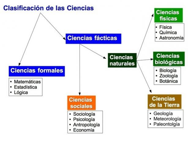 класификация на науките: формални науки и фактически науки, природни и социални науки