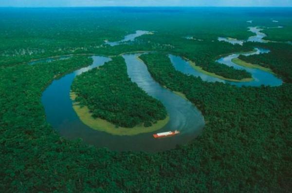 Amazon River: countries and cities where it passes - The Amazon River: main characteristics 