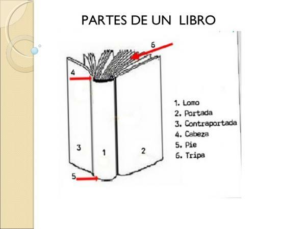 Parts of a book: external and internal