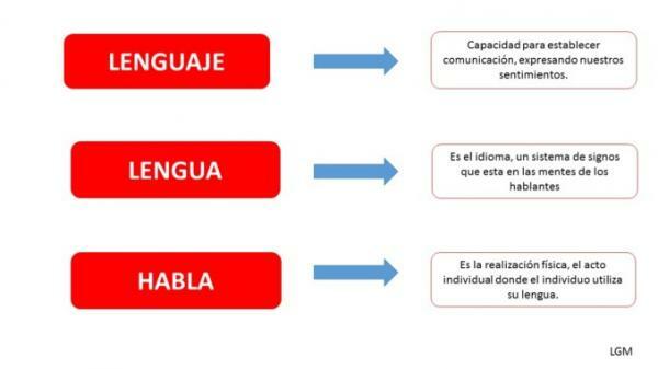 Език и език: прилики и разлики - Прилики и разлики между езика и езика