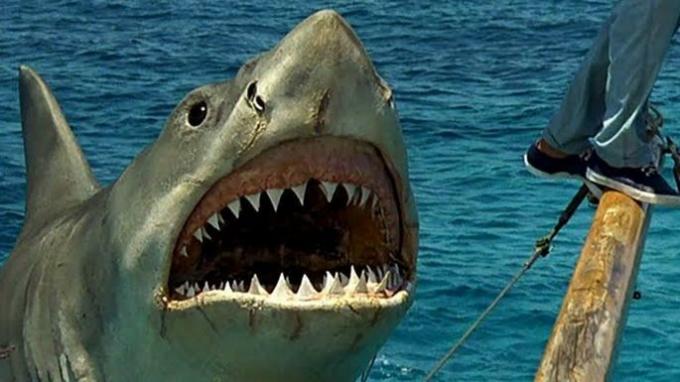 Tubarão filmová večera ukazuje tubarão s otvorenými ústami