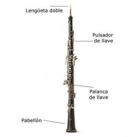 Parts of the oboe and its history - The parts of the oboe