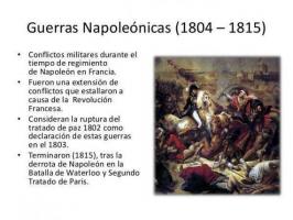 A napóleoni háborúk okai