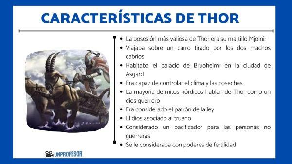 God Thor: main characteristics - What are the characteristics of Thor? 