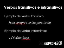 Differences between transitive and intransitive verbs
