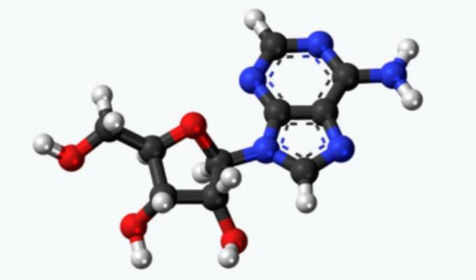 adenosine molecule
