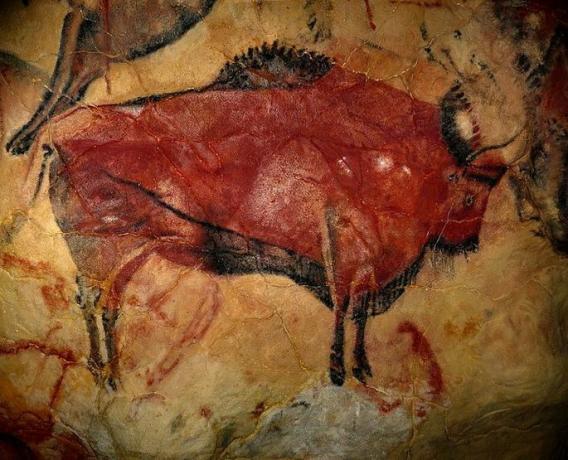 Proiectarea peșterii unui bisão mare pe peretele unei peșteri din Altamira, Spania