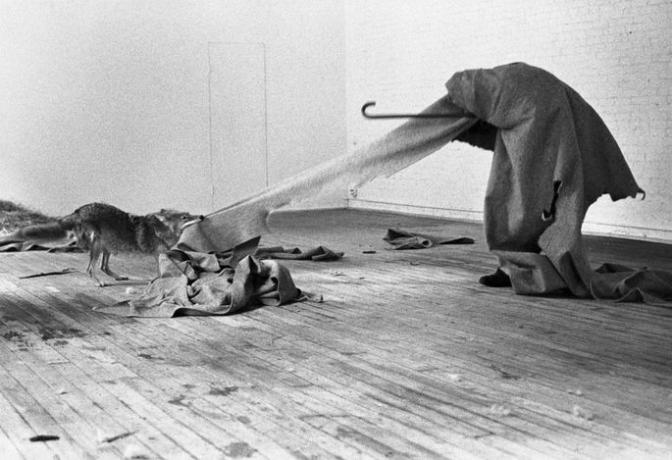 Joseph Beuys 'opptreden som coiote, teppe og bluss
