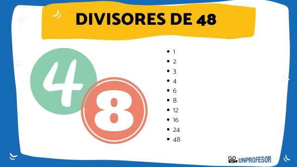 What are the divisors of 48