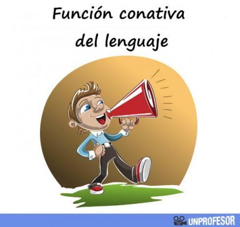 Конативна функция на езика - Определение и примери