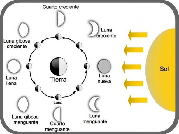 диаграма на различните фази на Луната и връзката им със Слънцето и Земята