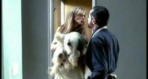 Amores perros, от González Iñárritu: резюме, анализ и интерпретация на филма