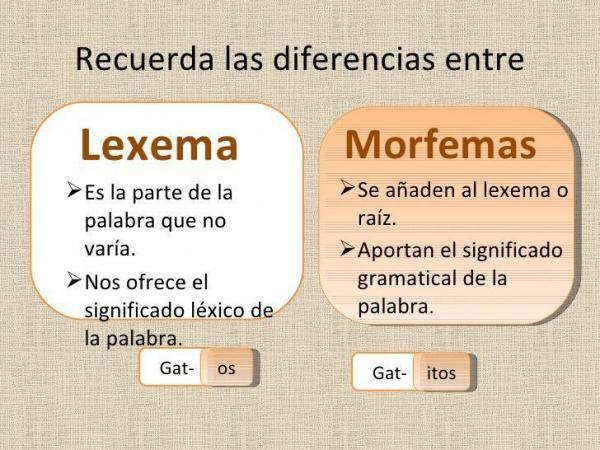 Mis on leksem: määratlus ja näited - erinevused morfeemide ja leksemide vahel