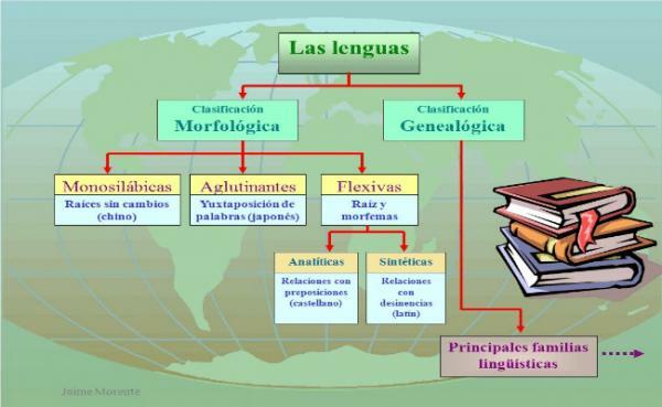 Ταξινόμηση γλωσσών - Ανά δομή