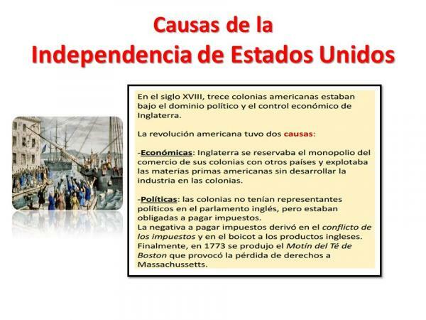 Independence of the United States of America: Causes and Consequences - Causes of Independence of the United States 