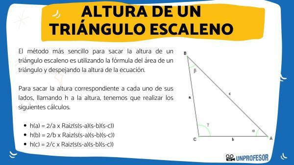 Come ottenere l'altezza di un triangolo scaleno - Passi per ottenere l'altezza di un triangolo scaleno
