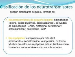 Types of most important NEUROTRANSMITTERS