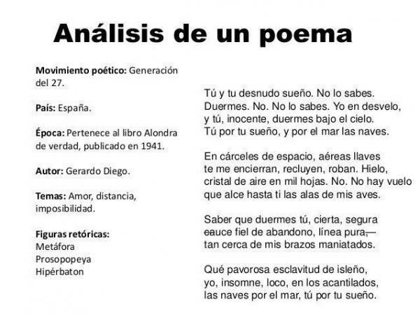 What is an analysis of a poem - Other important aspects to analyze a poem 