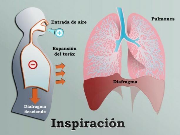 Inspiration 3