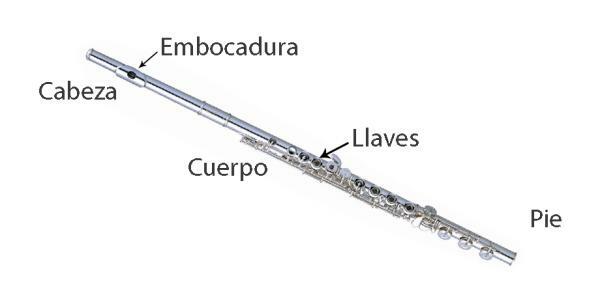Părți ale flautului transversal - Diferitele părți ale flautului transversal