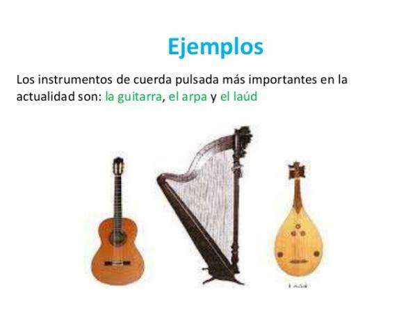 Instruments à cordes pincées - Principaux instruments à cordes pincées